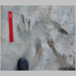 05-DSCN0214cr Baby.jpg